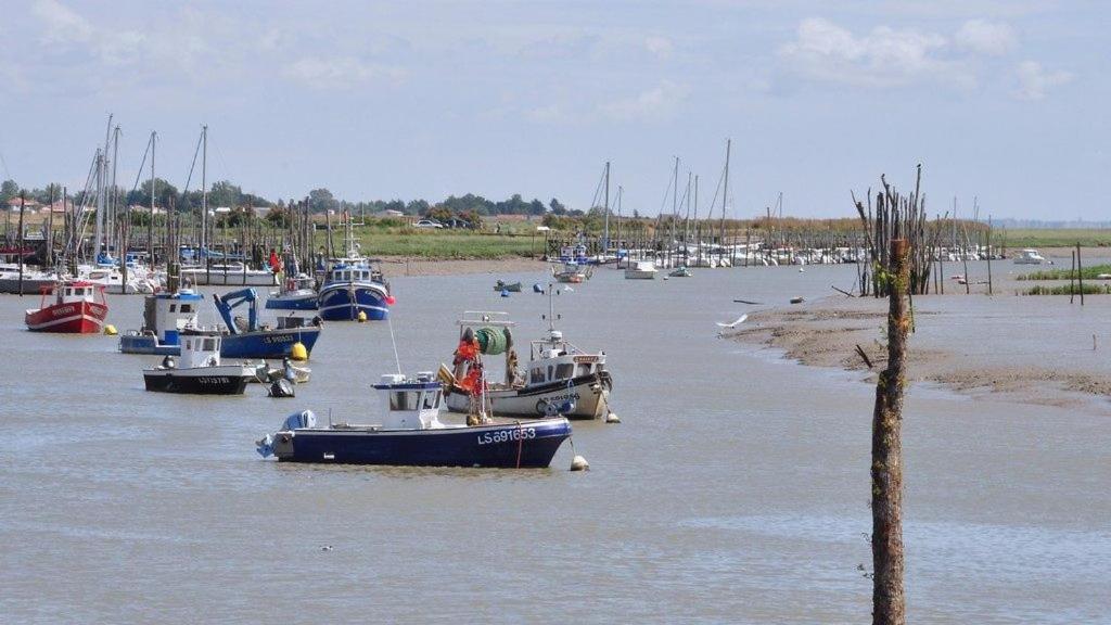 Maison Sud Vendee LʼAiguillon-sur-Mer Zewnętrze zdjęcie
